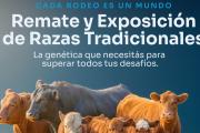 Remate en Maipú: toros y vientres de primer nivel con amplias facilidades de pago