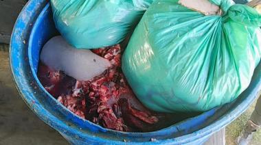 Decomisan 119 kilos de carne transportada sin habilitación en Maipú