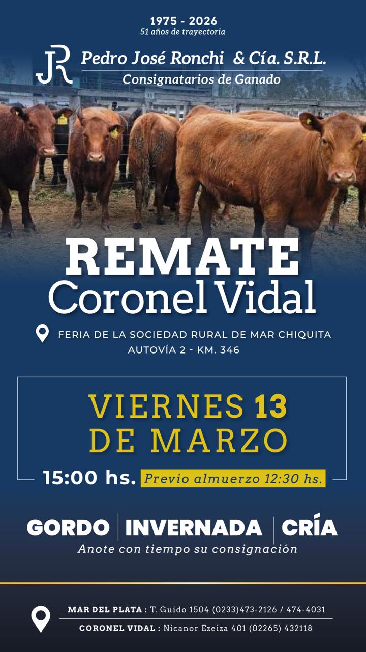 Remate en Coronel Vidal, gordo invernada y cría