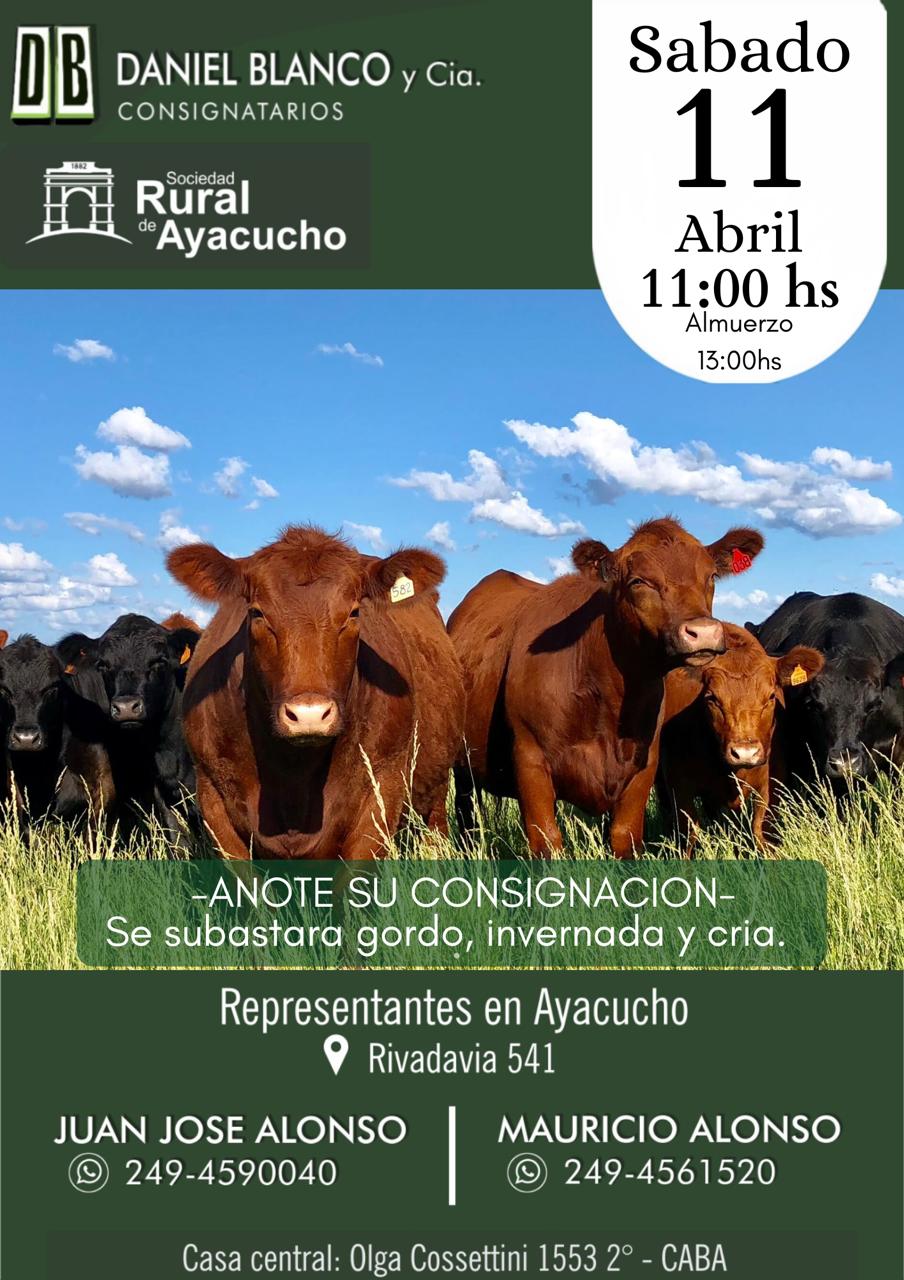 Remate de hacienda en Gral.