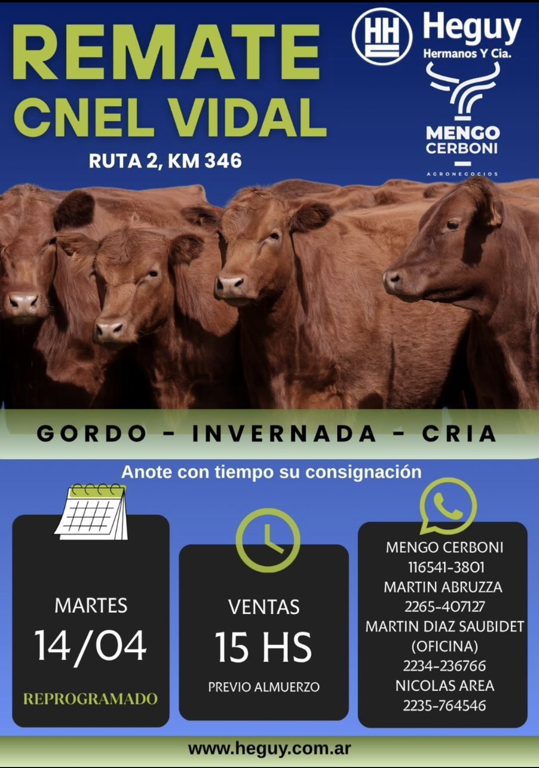 Remate de Coronel Vidal