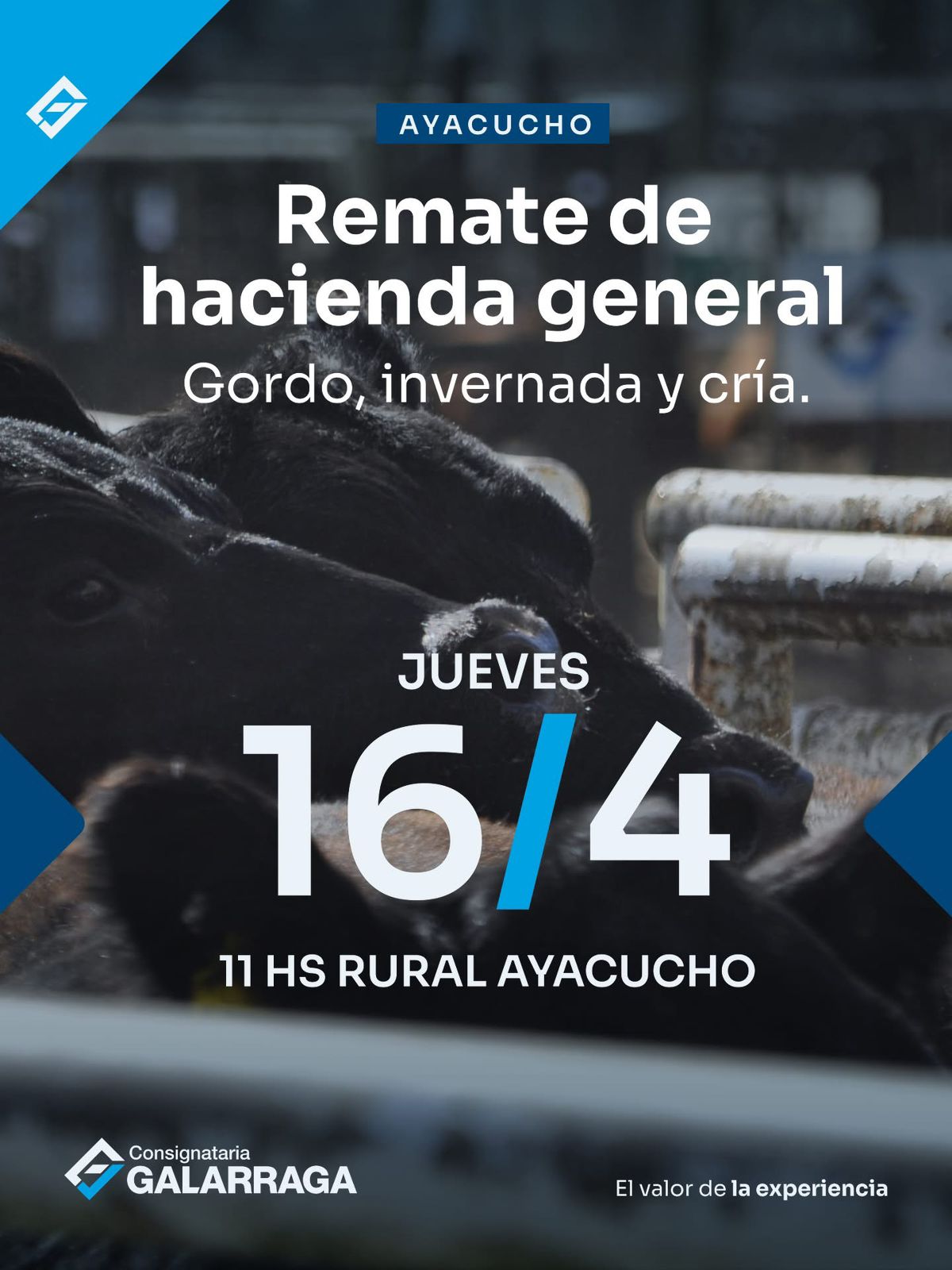 Remate de Haciendas Generales, gordo invernada y cría