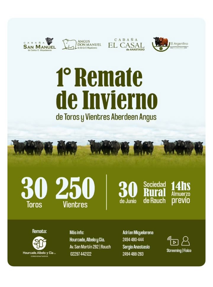 Primer remate de invierno de toros y vientres aberdeen angus
