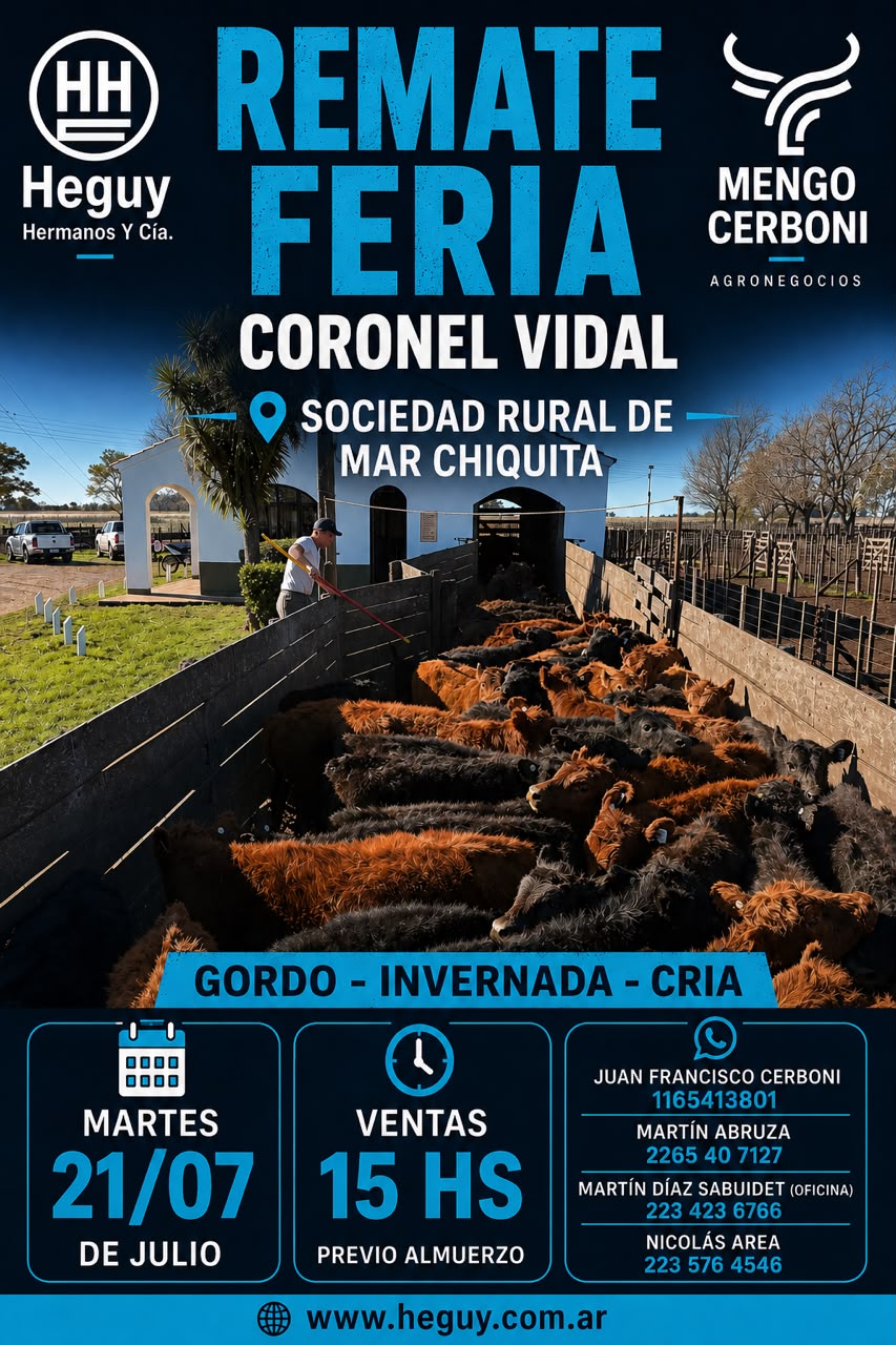 Remate en Coronel Vidal, gordo invernada y cría