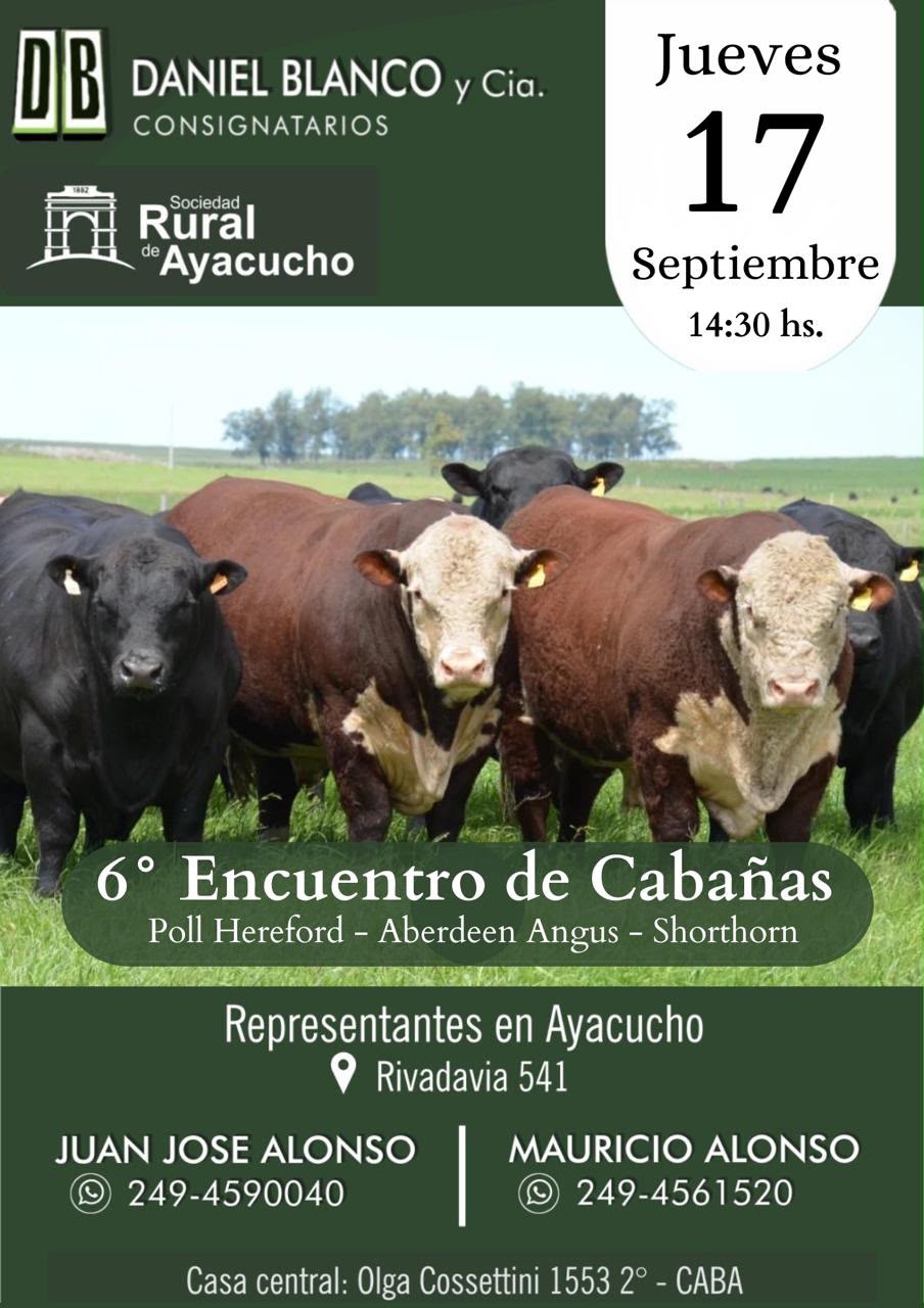 6 Encuentro de Cabañas