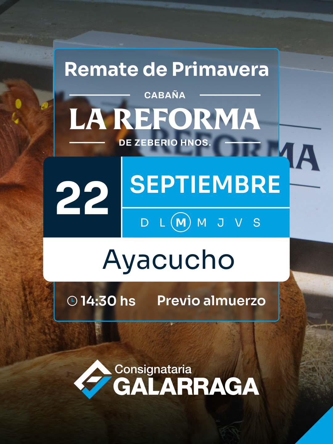 Remate de primavera, Cabaña La Reforma de Zeberio Hermanos