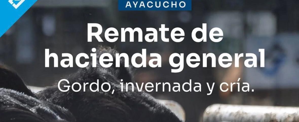 Remate de hacienda general en Ayacucho: una nueva convocatoria para productores de la región