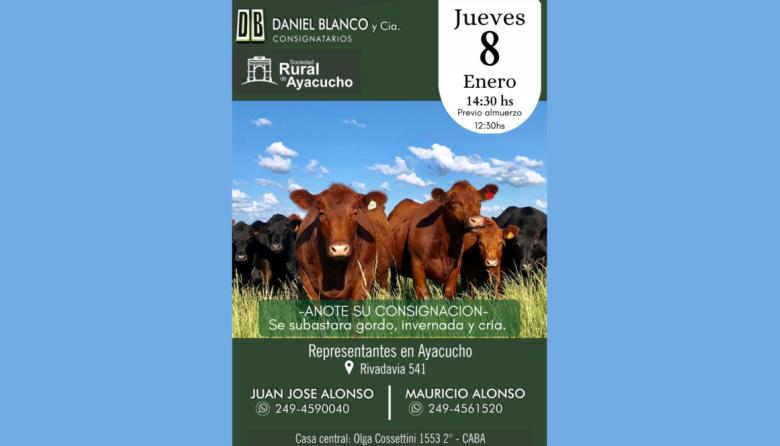 Juan Alonso destacó un 2025 muy positivo y confirmó un importante remate con más de 800 animales en Ayacucho