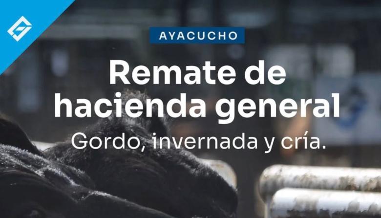 Remate de hacienda general en Ayacucho: una nueva convocatoria para productores de la región