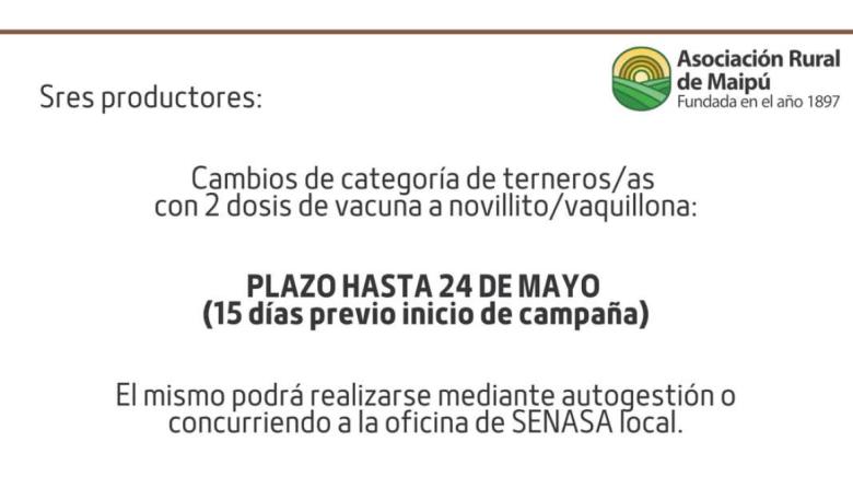 Recuerdan realizar el cambio de categoría de terneros antes de la campaña antiaftosa