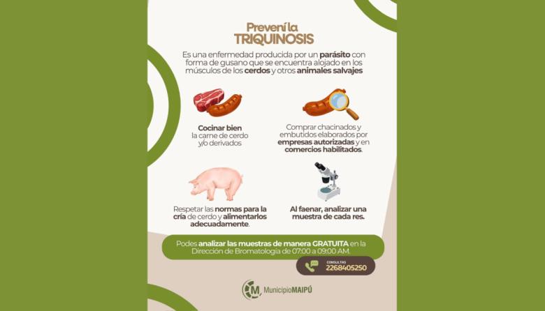 Confirmaron dos análisis positivos de triquinosis en campos del Partido de Ayacucho