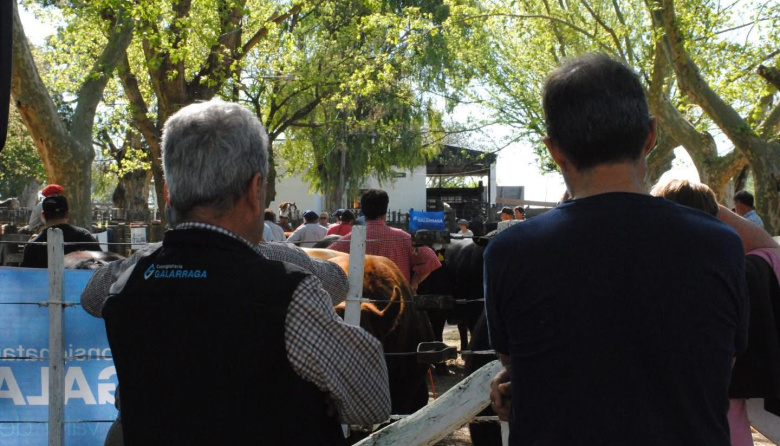 Consignataria Galarraga presentó su calendario de remates 2026 con fechas en Ayacucho, Dolores y Maipú