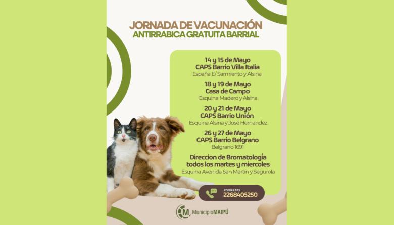 Maipú realizará jornadas gratuitas de vacunación antirrábica para perros y gatos