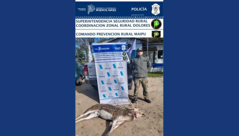 Realizaron un procedimiento por presunta caza furtiva en el partido de Maipú