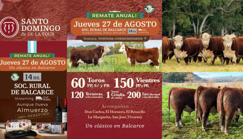 La Cabaña Santo Domingo prepara una nueva edición de su remate 100% Hereford en Balcarce
