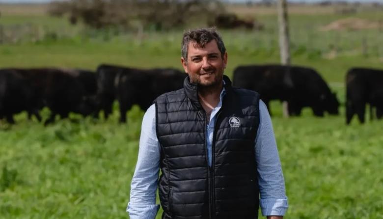 Cabaña El Cedro prepara su remate de reproductores Aberdeen Angus