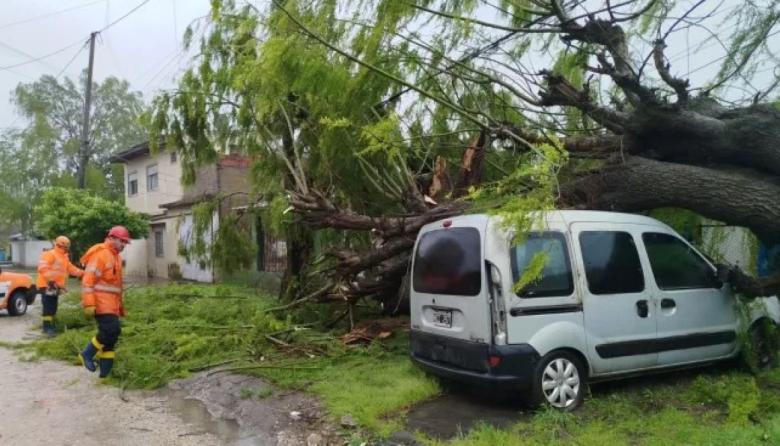 Lluvia y viento provocaron anegamientos, cortes de luz y caída de árboles en Mar del Plata