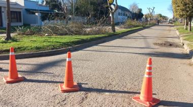 Corte de tránsito por tareas de poda en Maipú