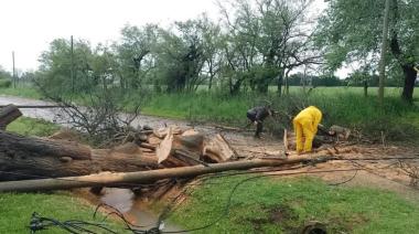 Equipo de Obras y Servicios Públicos atendió los daños del tempora