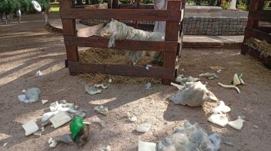 La Policía Comunal de Maipú investiga daños en el pesebre de la Plaza San Martín
