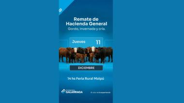 Galarraga cierra el 2025 con 750 cabezas, sorteo de básculas y un balance “muy positivo”