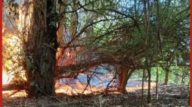 Bomberos controlaron un incendio de equipos agrícolas y forestales en la zona de Laguna Kakel