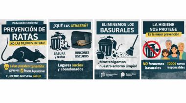 Advierten sobre los riesgos sanitarios por la proliferación de roedores