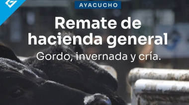 Remate de hacienda general en Ayacucho: una nueva convocatoria para productores de la región