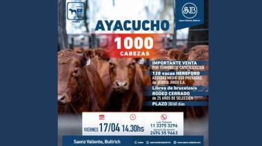 Ayacucho se prepara para un remate con buena hacienda y gran expectativa