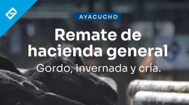 Remate de hacienda general en Ayacucho: una nueva convocatoria para productores de la región