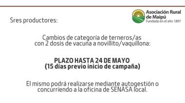 Recuerdan realizar el cambio de categoría de terneros antes de la campaña antiaftosa