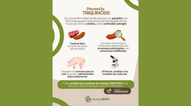 Confirmaron dos análisis positivos de triquinosis en campos del Partido de Ayacucho