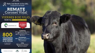 Con una importante oferta de hacienda, se realiza un nuevo remate de Pedro José Ronchi y Cía.