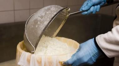 Invitan a un taller gratuito para aprender a elaborar queso, yogur y manteca de forma artesanal