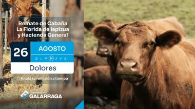 Casi mil animales saldrán a remate este miércoles en la Sociedad Rural de Dolores