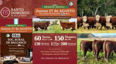La Cabaña Santo Domingo prepara una nueva edición de su remate 100% Hereford en Balcarce