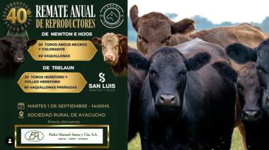 Newton e Hijos y Cabaña San Luis se preparan para su 40° Remate Anual de Reproductores