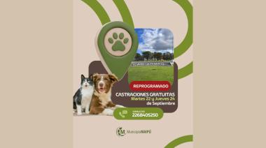 Reprogramaron las jornadas de castración gratuita para perros y gatos