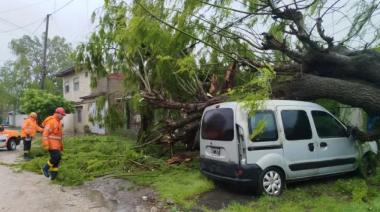 Lluvia y viento provocaron anegamientos, cortes de luz y caída de árboles en Mar del Plata