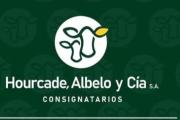 Ayacucho recibe el 52º remate de Cabaña El Tránsito con más de 150 reproductores