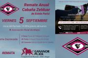Cabaña Zelduar presenta su remate anual en la Sociedad Rural
