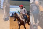 Emilio Zabala representa a Maipú en una prueba de mansedumbre en la Expo de Caballos