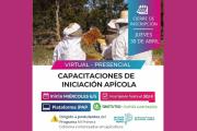 Abren inscripciones para capacitaciones gratuitas de iniciación apícola en la Provincia