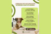 Maipú realizará jornadas gratuitas de vacunación antirrábica para perros y gatos