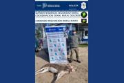 Realizaron un procedimiento por presunta caza furtiva en el partido de Maipú