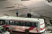 Tragedia en Mar del Plata: un colectivo atropelló a varias personas y dejó una víctima fatal