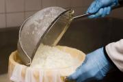 Invitan a un taller gratuito para aprender a elaborar queso, yogur y manteca de forma artesanal