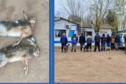 Nueve personas fueron infraccionadas por realizar caza furtiva en establecimientos rurales de Maipú