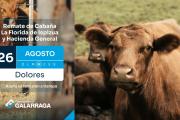 Casi mil animales saldrán a remate este miércoles en la Sociedad Rural de Dolores