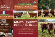 La Cabaña Santo Domingo prepara una nueva edición de su remate 100% Hereford en Balcarce